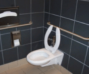 handicap-toilet